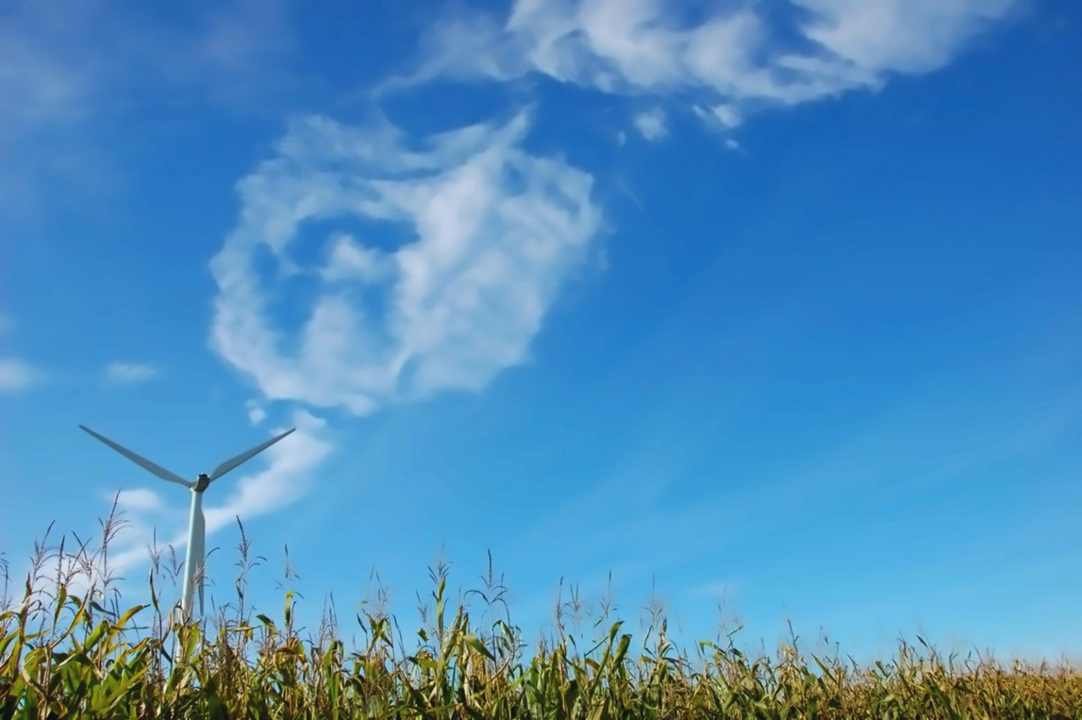 Digitaal leerplatform voor sociale ecologie